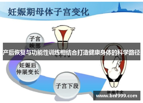 产后恢复与功能性训练相结合打造健康身体的科学路径