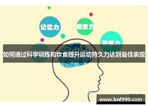 如何通过科学训练和饮食提升运动持久力达到最佳表现